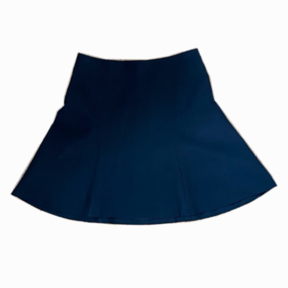 🌵4/$20 Black Express Skater Skirt/Fit and Flare Skirt
